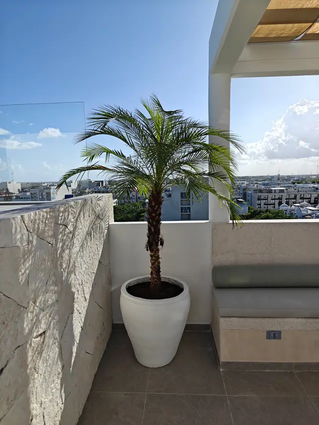 Luna Residences, azotea, foto 202