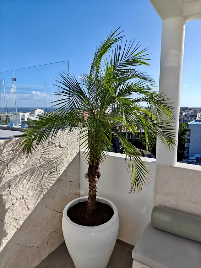 Luna Residences, azotea, foto 205