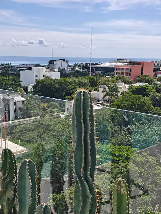 Luna Residences, azotea, foto 221